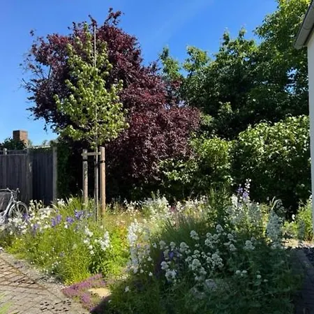 Haus Liesing Prerow